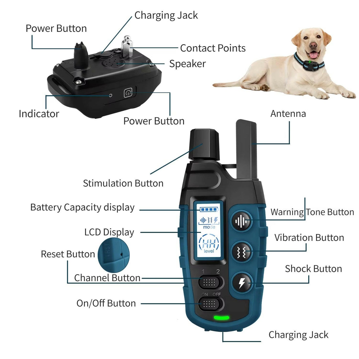No Shock 3300Ft Dog Training Collar – Remote, Rechargeable & Waterproof.
