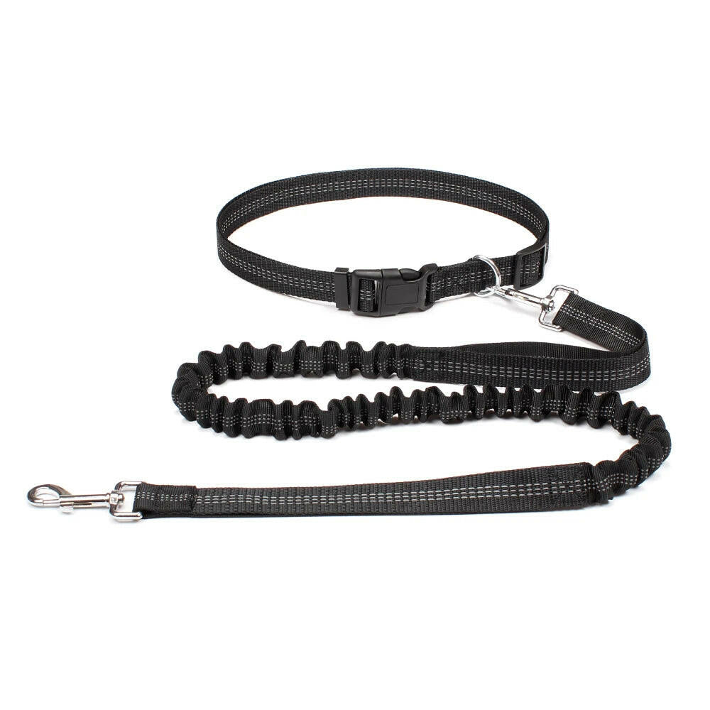 Premium Hands-Free Dog Leash with Adjustable Waist Belt and Chest Strap for Comfortable Walking, Running, and Jogging Adventures.