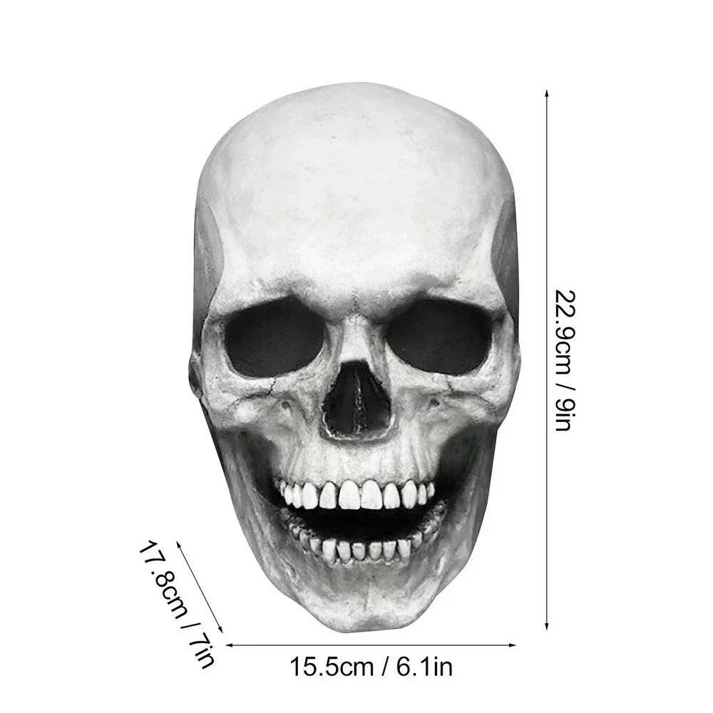 Realistic Skull Mask with Movable Jaw – Full Head Horror Helmet for Halloween & Cosplay