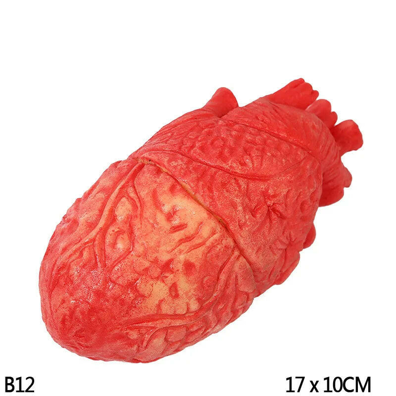 Horror Halloween Rubber Body Part Props – Fake Hands, Legs, Hearts & Brains for Haunted House & Party Decor