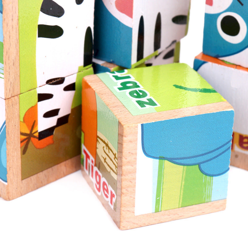 Six-face wooden cube puzzle with 9 blocks, educational toy for children aged 4–6.