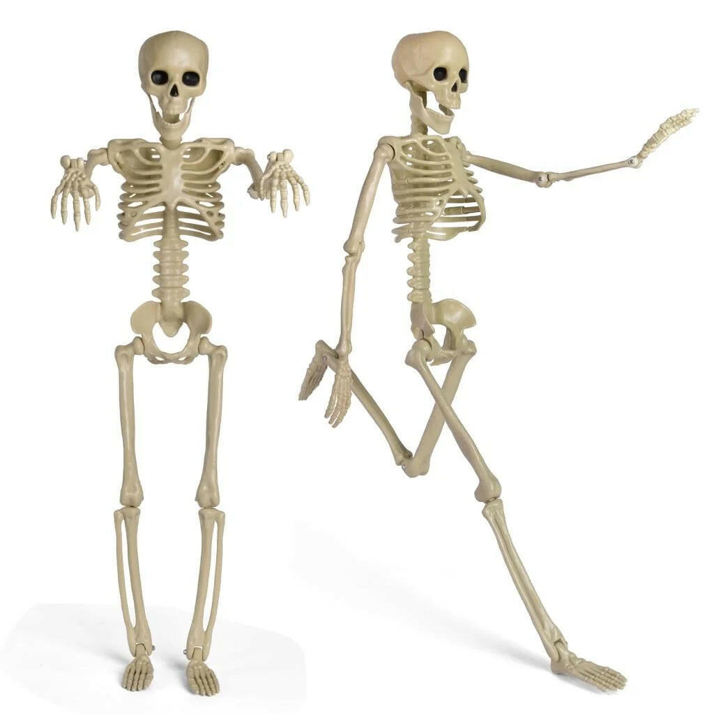 24 Inch Halloween Adjustable Skeleton Prop,Halloween Decoration Clearance,Halloween Party Decoration,Halloween Decoration Outdoor,Indoor