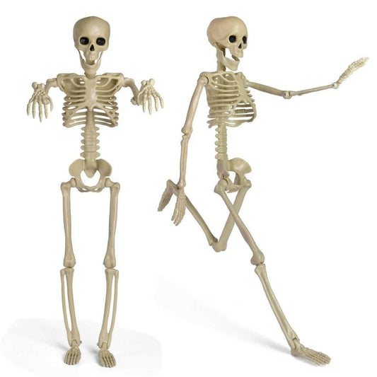 24 Inch Halloween Adjustable Skeleton Prop,Halloween Decoration Clearance,Halloween Party Decoration,Halloween Decoration Outdoor,Indoor