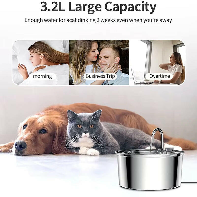 Ultra-Quiet Stainless Steel Pet Water Fountain for Fresh, Flowing Hydration.