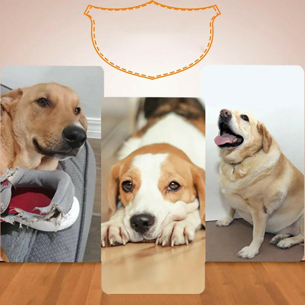 Automatic Dog Ball Launcher – Endless Fetch Fun with 3 Distance Settings for Happy, Active Dogs