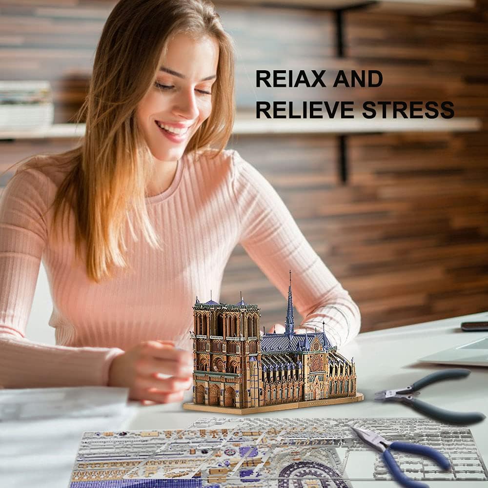 3D Metal Puzzles for Adults and Teens, Notre Dame De Paris Church Metal Model Kit, Challenge French Cathedral Brain Teaser Architecture Building Blocks Puzzle, 382 Pcs