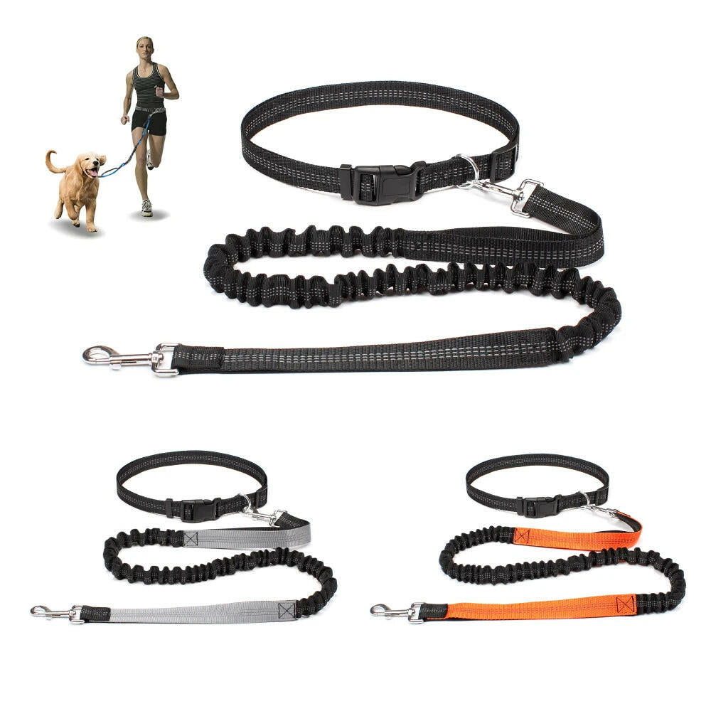 Premium Hands-Free Dog Leash with Adjustable Waist Belt and Chest Strap for Comfortable Walking, Running, and Jogging Adventures.
