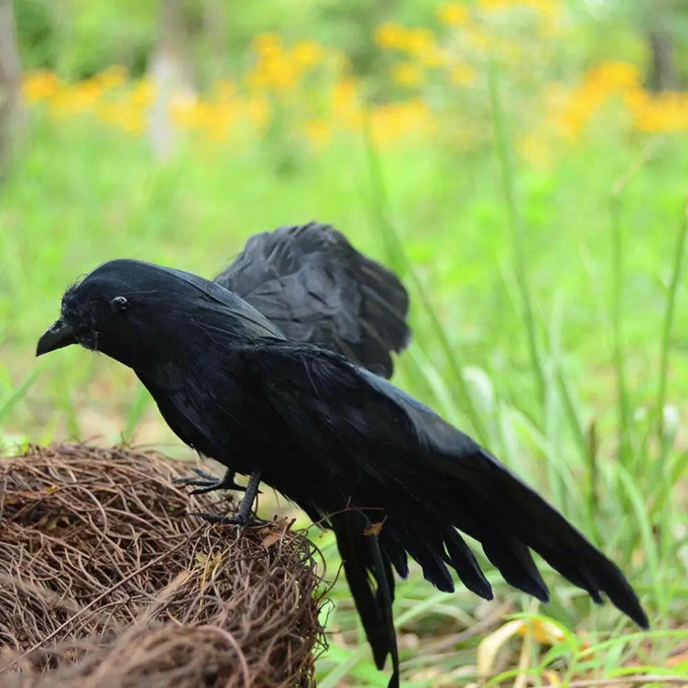 2025 Feathered Raven & Crow Props – Realistic Halloween Bird Statues for Haunted Decor (Winged & Wingless Variants)