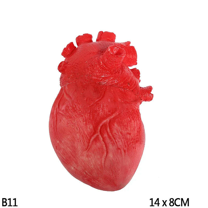 Horror Halloween Rubber Body Part Props – Fake Hands, Legs, Hearts & Brains for Haunted House & Party Decor