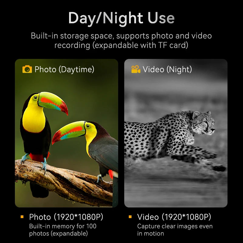 1080P Night Vision Binoculars – 10x Zoom, 800m Infrared.