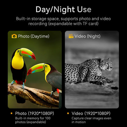 1080P Night Vision Binoculars – 10x Zoom, 800m Infrared.