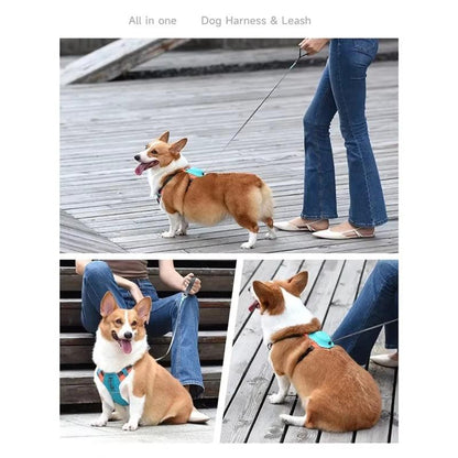 Walk Smarter, Not Harder – 2‑in‑1 No‑Pull Dog Harness with Built‑In Retractable Leash.