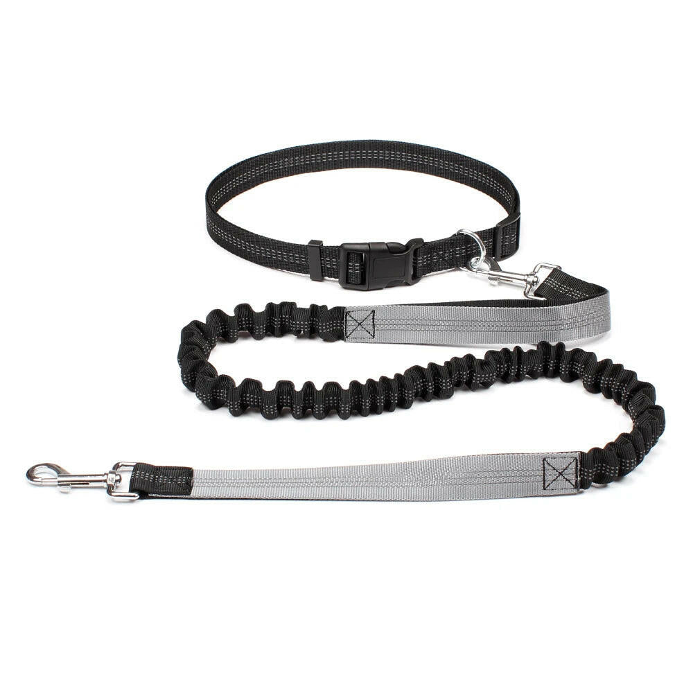 Premium Hands-Free Dog Leash with Adjustable Waist Belt and Chest Strap for Comfortable Walking, Running, and Jogging Adventures.