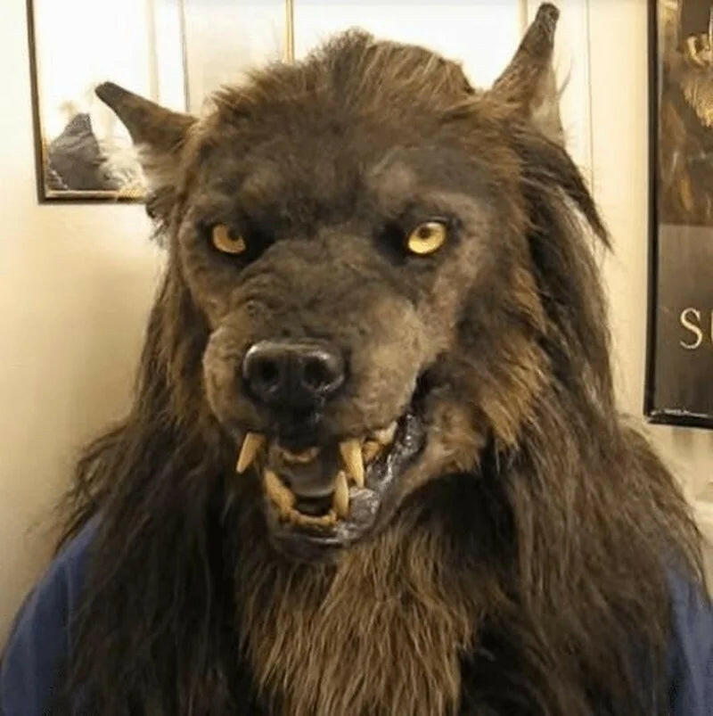 Latex Werewolf Head Mask – Realistic Wolf Hair Headgear for Halloween Parties & Scary Decor