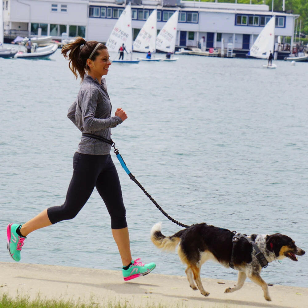 Premium Hands-Free Dog Leash with Adjustable Waist Belt and Chest Strap for Comfortable Walking, Running, and Jogging Adventures.