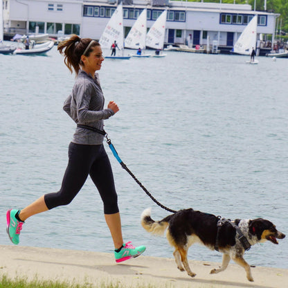 Premium Hands-Free Dog Leash with Adjustable Waist Belt and Chest Strap for Comfortable Walking, Running, and Jogging Adventures.