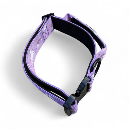 Daydreams & Unicorns tactical dog collar in pastel purple with rainbow unicorn print and metal buckle