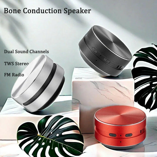 Hummingbird Bone Conduction Speaker with FM Radio Bluetooth-Compatible TWS Wireless Stereo Dual Sound Audio Box Mini Speaker.