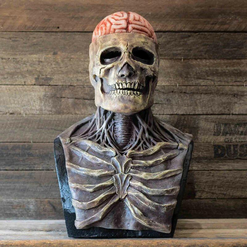 Realistic Skull Mask with Movable Jaw – Full Head 3D Latex Horror Mask for Halloween & Cosplay