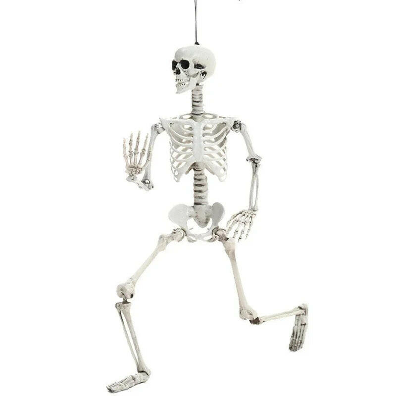 90CM Poseable Human Skeleton – Hanging Halloween Prop for Haunted House & Garden Décor
