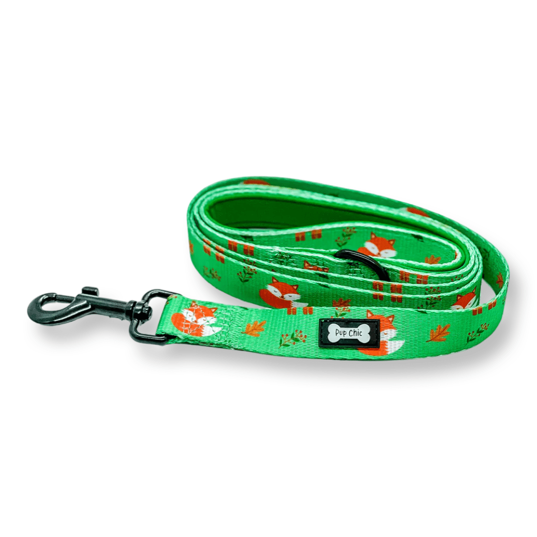 Inquisitive Fox 5ft dog lead with padded handle and D‑ring, matching harness and collar