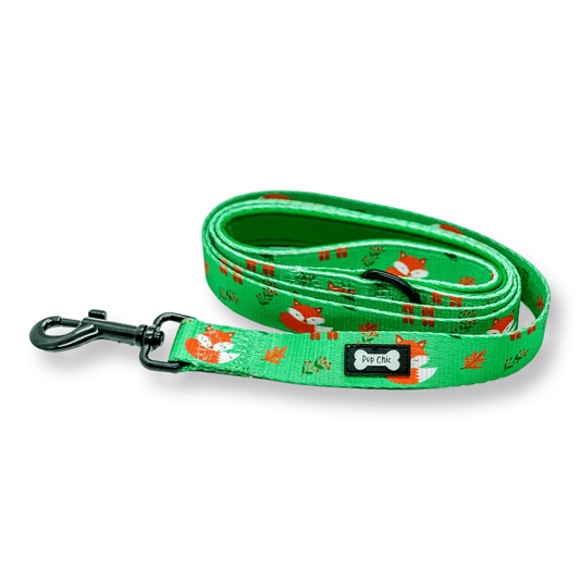 Inquisitive Fox 5ft dog lead with padded handle and D‑ring, matching harness and collar