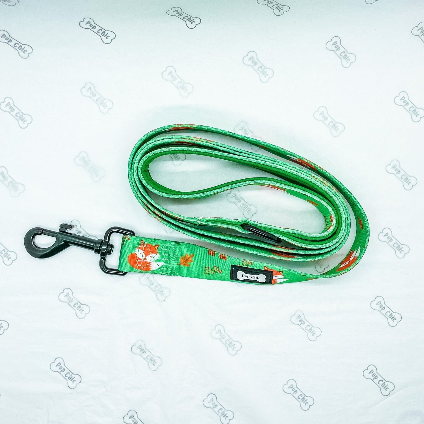 Inquisitive Fox 5ft dog lead with padded handle and D‑ring, matching harness and collar
