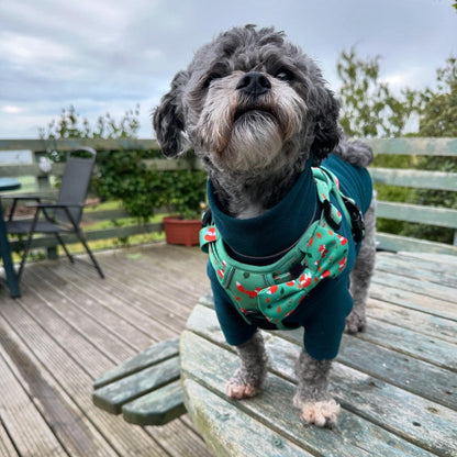 Inquisitive Fox tactical dog harness, rust‑orange woodland fox print, no‑pull design with top handle