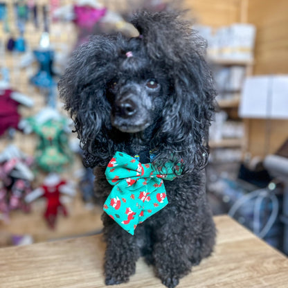 Inquisitive Fox sailor bow tie, teal background with sloth print, Velcro fastening for collars & harnesses