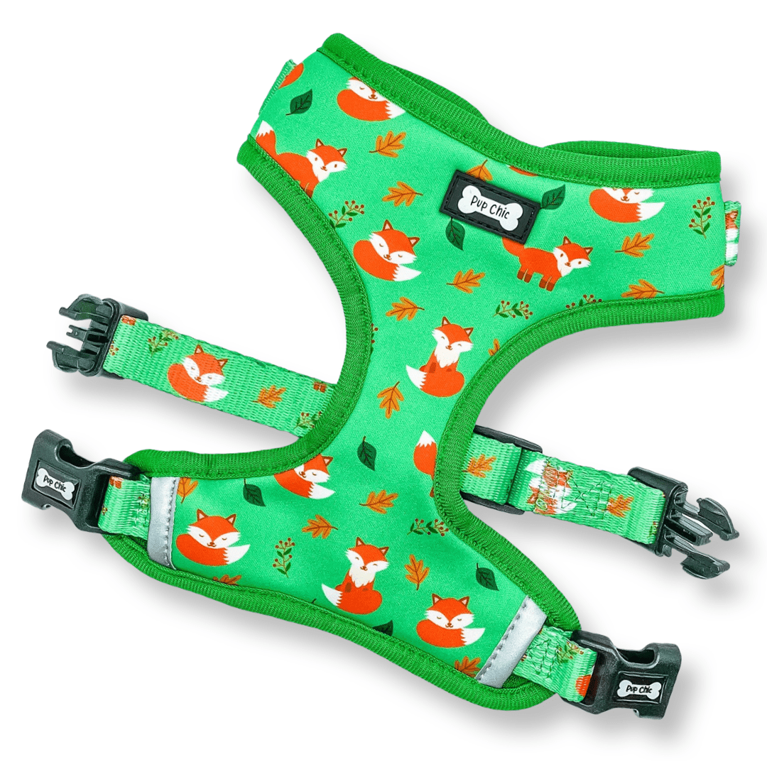 Inquisitive Fox XXS puppy harness, sage green woodland fox print, lightweight padded design for toy breeds