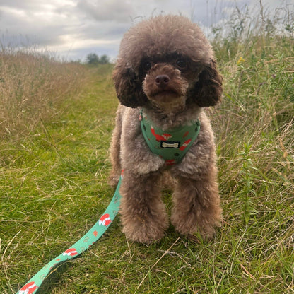 Inquisitive Fox XXS puppy harness, sage green woodland fox print, lightweight padded design for toy breeds