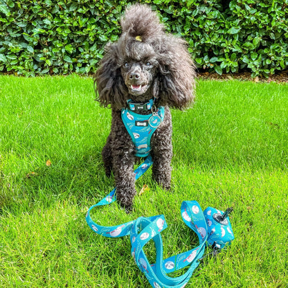 Lazy Sloth dog collars, mint green with sloth illustrations, adjustable standard & tactical styles for all breeds