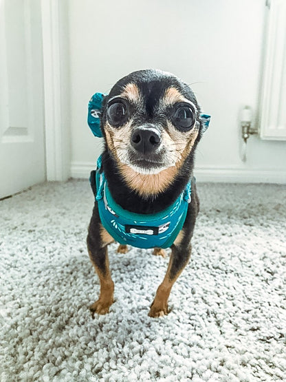 Lazy Sloth XXS puppy harness in teal with sloth print, adjustable straps for toy breeds