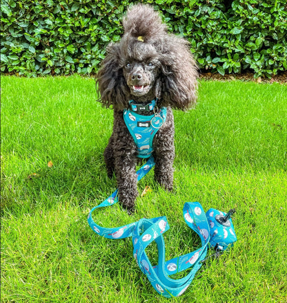 Lazy Sloth XXS puppy harness in teal with sloth print, adjustable straps for toy breeds