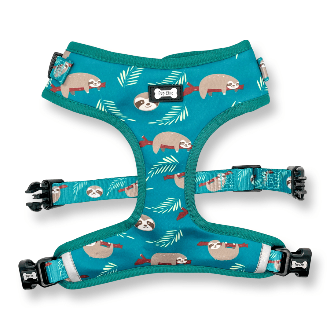 Lazy Sloth XXS puppy harness in teal with sloth print, adjustable straps for toy breeds