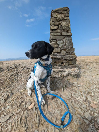 Lazy Sloth tactical dog harness in mint green with sloth print, no‑pull design and top handle