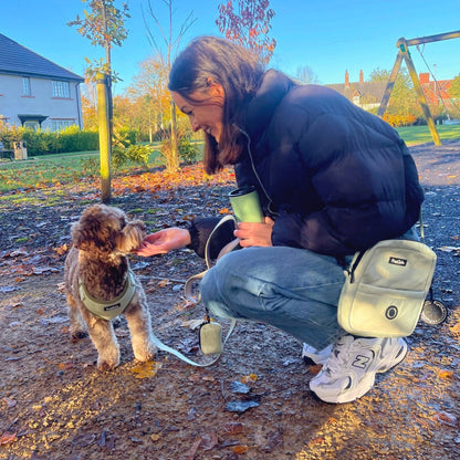 Mini dog walking bag in sage green waterproof nylon, crossbody design with zip compartments & poo bag dispenser