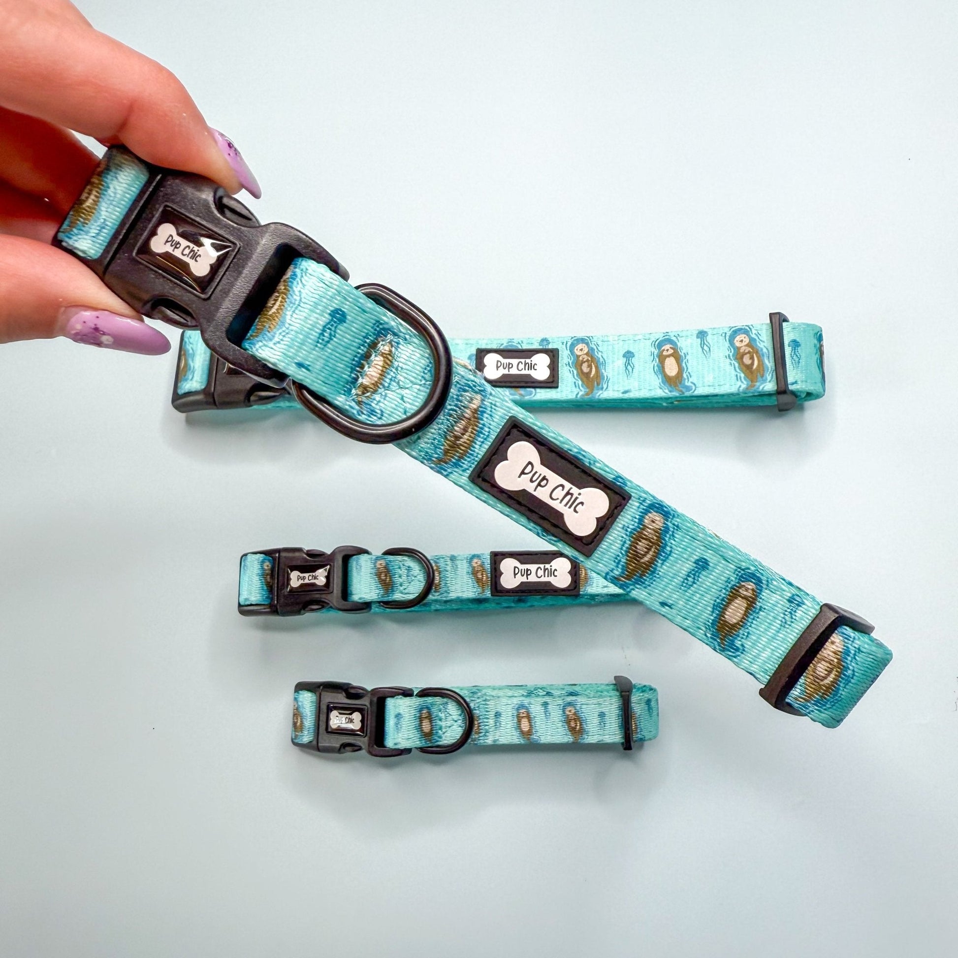 Otterly Lovely dog collar, aqua‑blue with cute otter print, adjustable lightweight design for puppies & small breeds