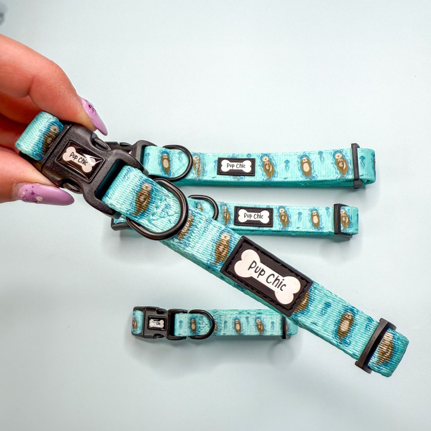 Otterly Lovely dog collar, aqua‑blue with cute otter print, adjustable lightweight design for puppies & small breeds