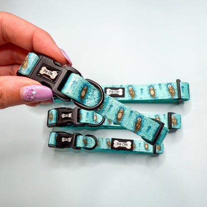 Otterly Lovely dog collar, aqua‑blue with cute otter print, adjustable lightweight design for puppies & small breeds