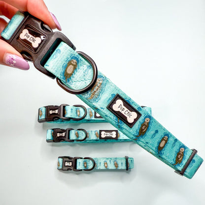 Otterly Lovely dog collar, aqua‑blue with cute otter print, adjustable lightweight design for puppies & small breeds