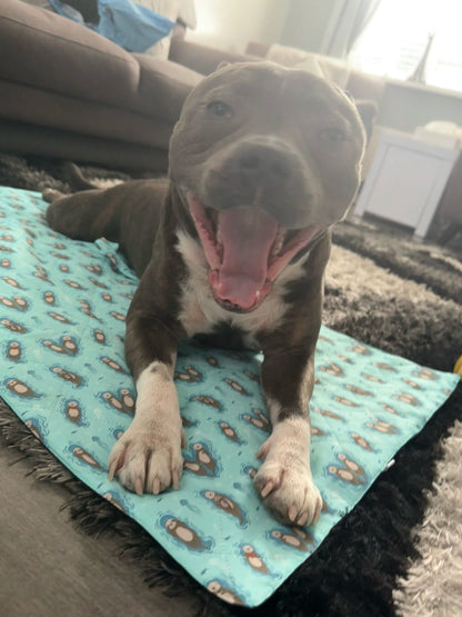 Otterly Lovely waterproof dog settle mat in aqua with otter print, 50×100cm portable travel mat