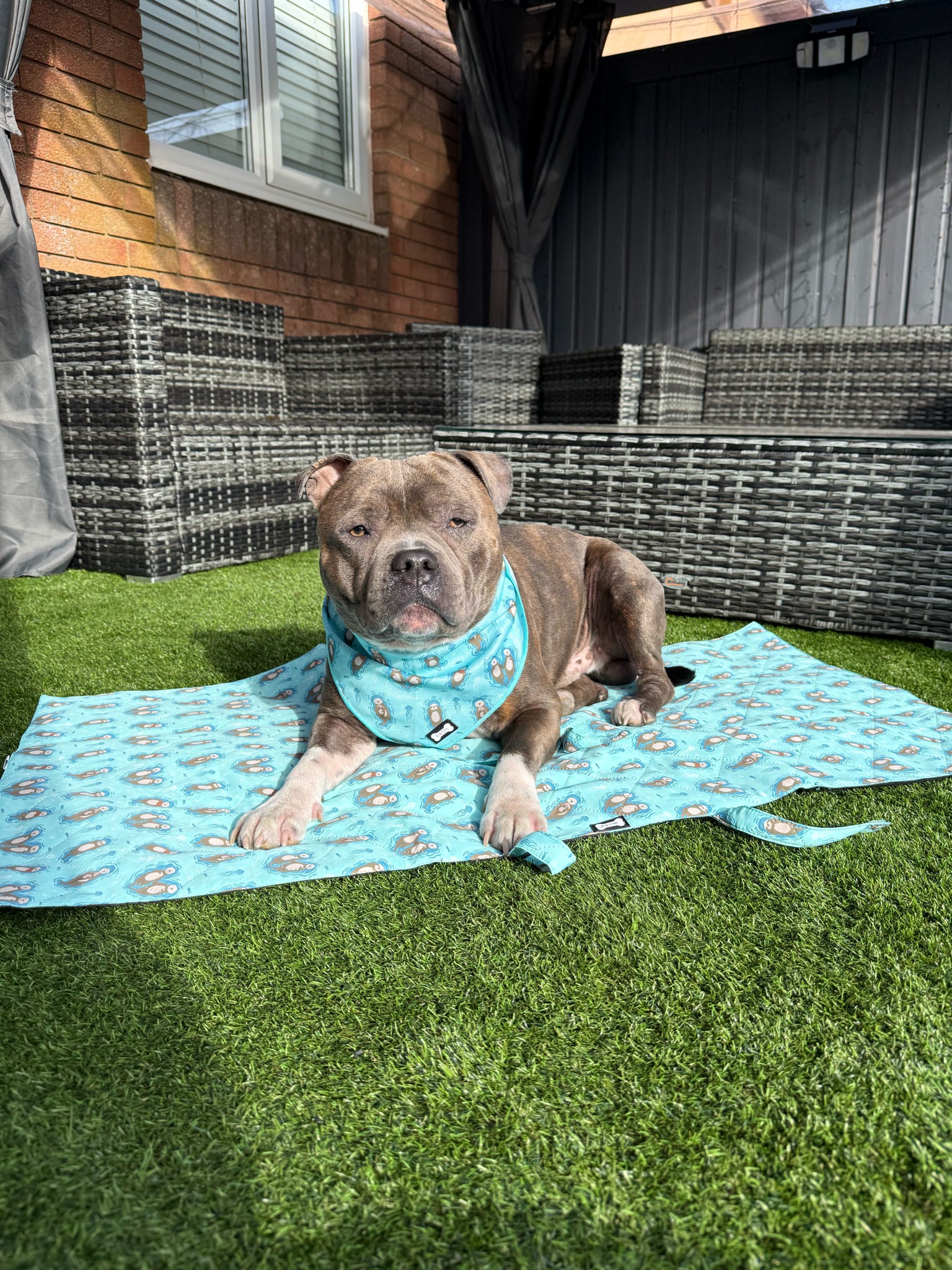 Otterly Lovely waterproof dog settle mat in aqua with otter print, 50×100cm portable travel mat