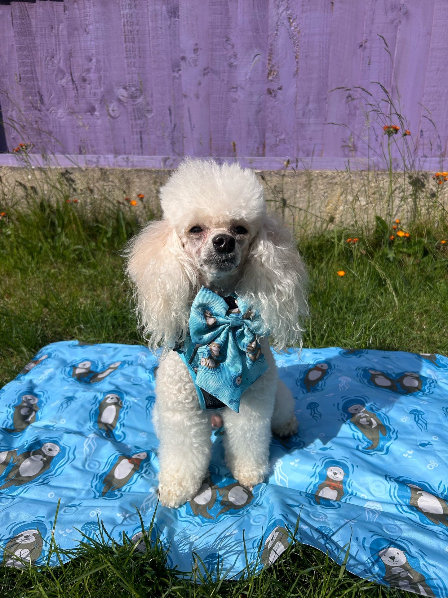Otterly Lovely teal sailor bow with sea otter print, Velcro fastening, available in two sizes