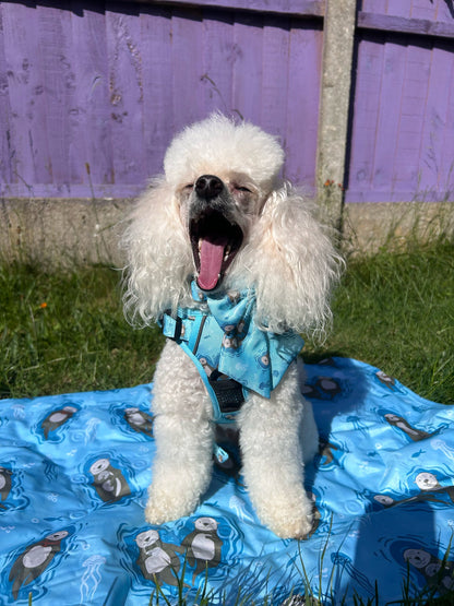 Otterly Lovely aqua tactical dog harness with sea otter print, no‑pull design and top handle
