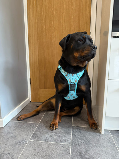 Otterly Lovely aqua tactical dog harness with sea otter print, no‑pull design and top handle