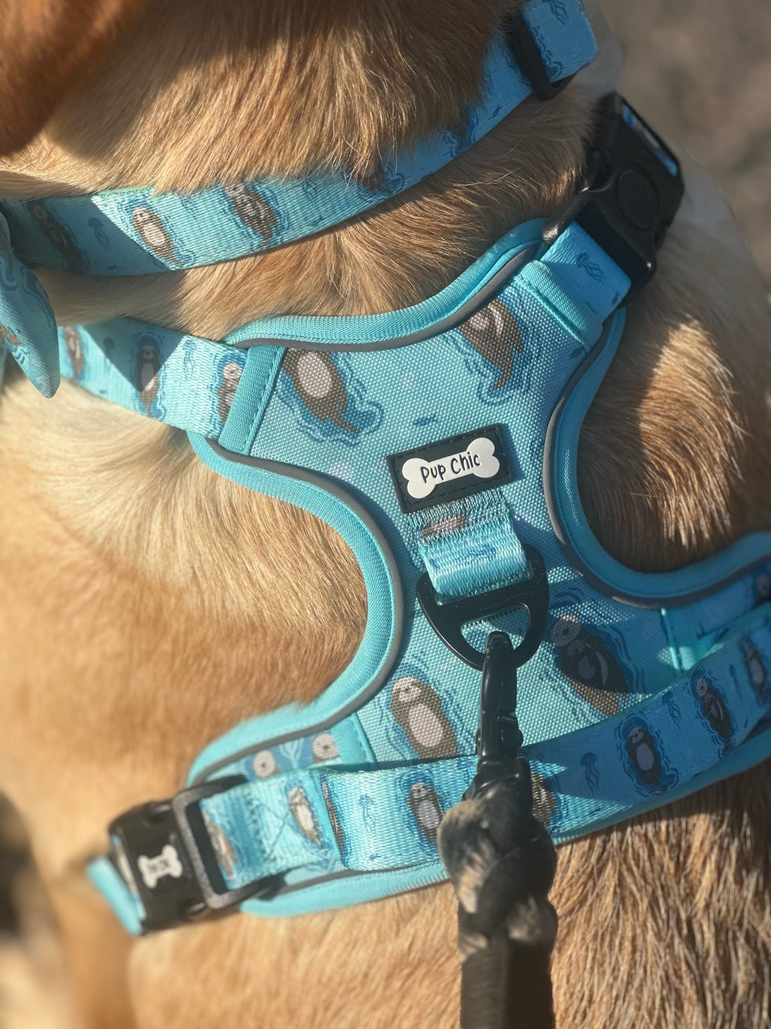 Otterly Lovely aqua tactical dog harness with sea otter print, no‑pull design and top handle