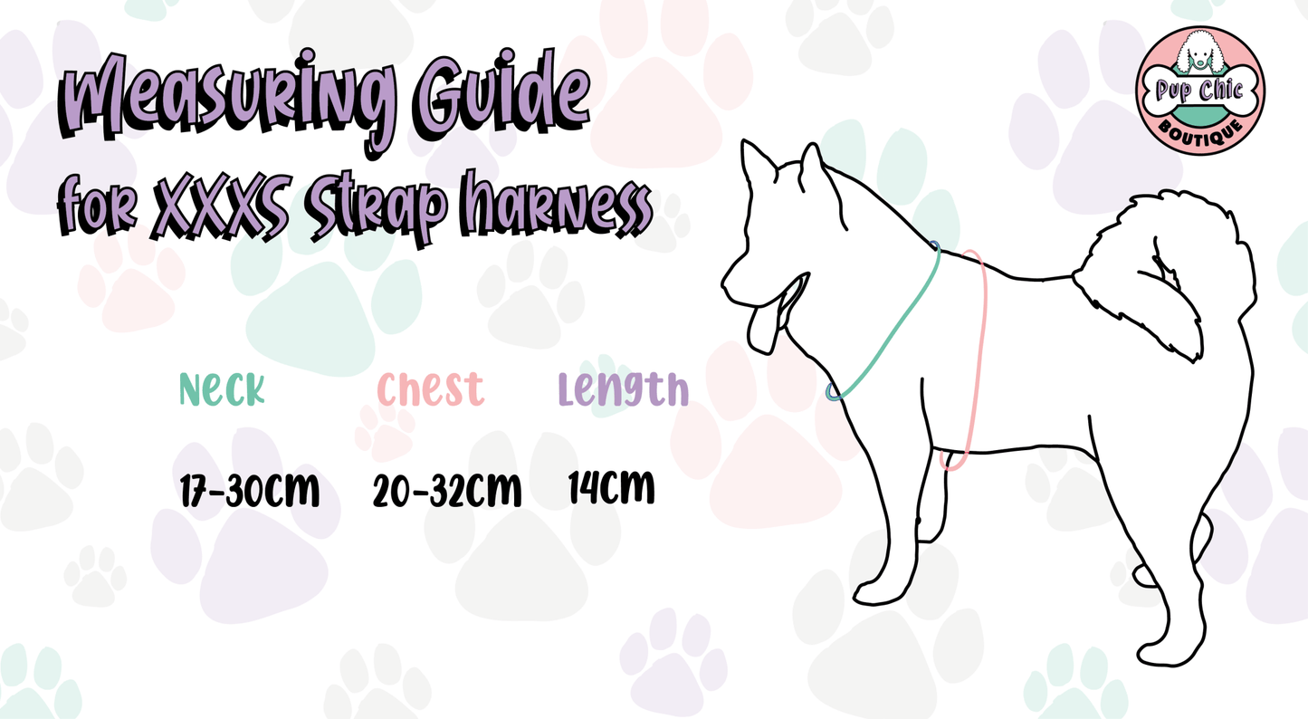 Otterly Lovely XXXS aqua puppy harness with otter print, adjustable straps for teacup dogs, kittens & rabbits