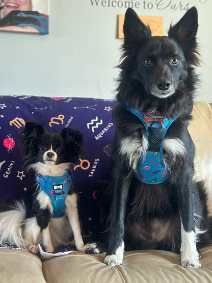 Power Peacock step‑in dog harness in teal with peacock feather print, adjustable neck and chest straps