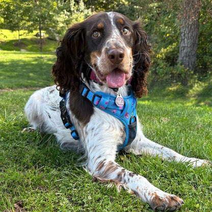 Peacock Power tactical dog harness, teal base with peacock feather print, durable no‑pull design for strong dogs